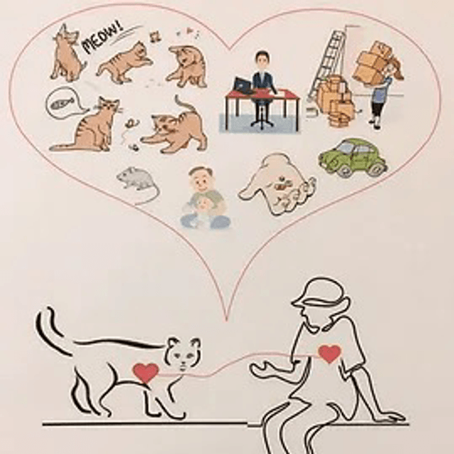 Communication animale