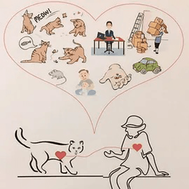 Communication animale